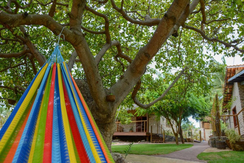 Canoé Brasil